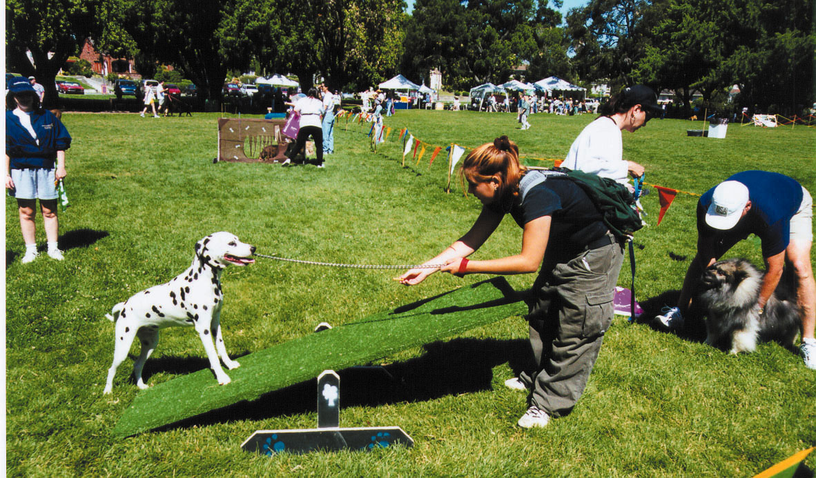 Dogs on the Go at Bark in the Park™ San Jose 2019